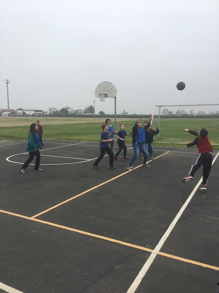 Students in PE learning basketball 😎
