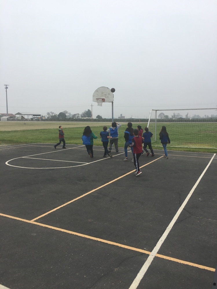 students in P.  E.  Class learning Basketball 😎